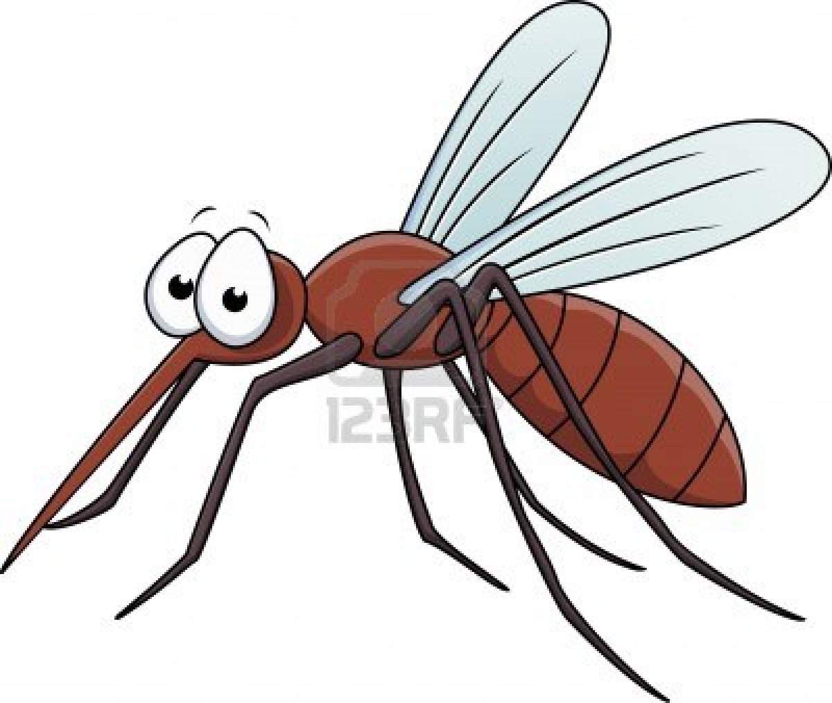 Image result for animasi nyamuk